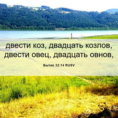 Picture 06 - Бытие 32:14 RUSV - двести коз, двадцать - Bible Verse Picture