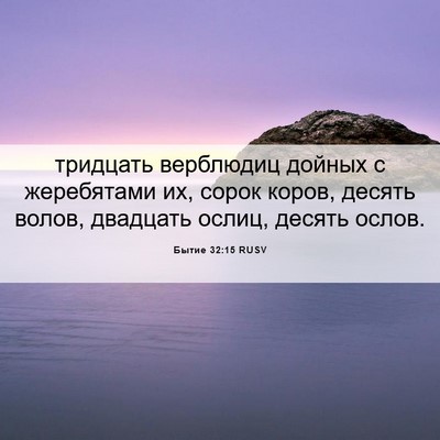 Picture 06 - Бытие 32:15 RUSV - тридцать верблюдиц дойных - Bible Verse Picture