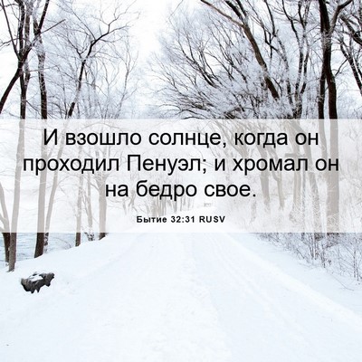 Picture 06 - Бытие 32:31 RUSV - И взошло солнце, когда он - Bible Verse Picture