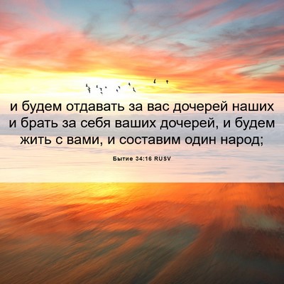 Picture 06 - Бытие 34:16 RUSV - и будем отдавать за вас - Bible Verse Picture