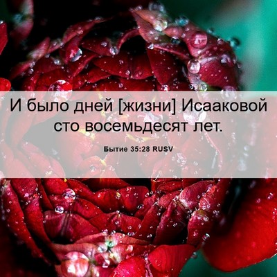 Picture 06 - Бытие 35:28 RUSV - И было дней [жизни] - Bible Verse Picture