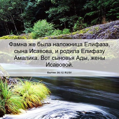 Picture 06 - Бытие 36:12 RUSV - Фамна же была наложница - Bible Verse Picture