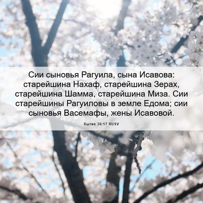 Picture 06 - Бытие 36:17 RUSV - Сии сыновья Рагуила, сына - Bible Verse Picture