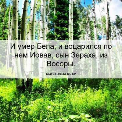 Picture 06 - Бытие 36:33 RUSV - И умер Бела, и воцарился по - Bible Verse Picture