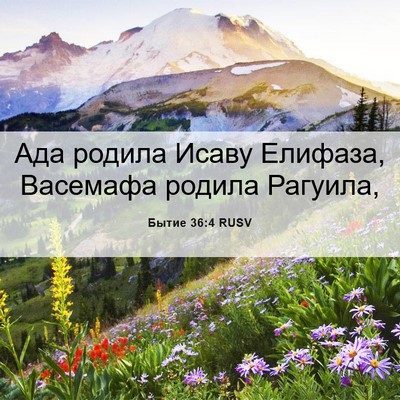 Picture 06 - Бытие 36:4 RUSV - Ада родила Исаву Елифаза, - Bible Verse Picture