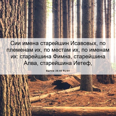 Picture 06 - Бытие 36:40 RUSV - Сии имена старейшин - Bible Verse Picture