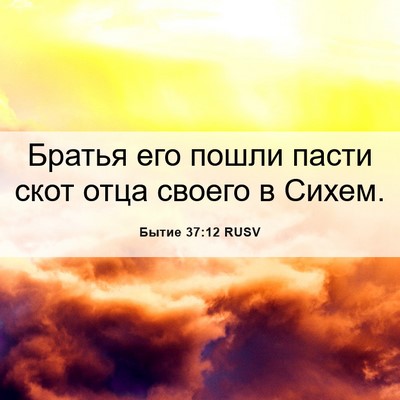 Picture 06 - Бытие 37:12 RUSV - Братья его пошли пасти - Bible Verse Picture