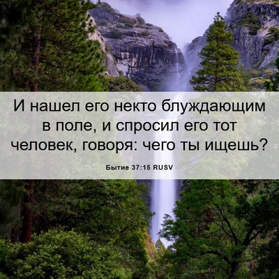 Picture 06 - Бытие 37:15 RUSV - И нашел его некто - Bible Verse Picture