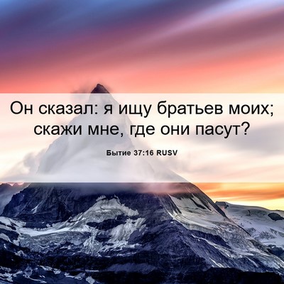 Picture 06 - Бытие 37:16 RUSV - Он сказал: я ищу братьев - Bible Verse Picture