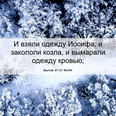 Picture 06 - Бытие 37:31 RUSV - И взяли одежду Иосифа, и - Bible Verse Picture