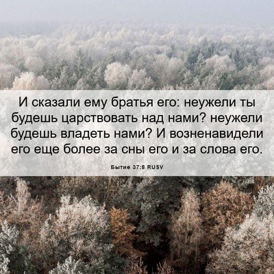 Picture 06 - Бытие 37:8 RUSV - И сказали ему братья его: - Bible Verse Picture