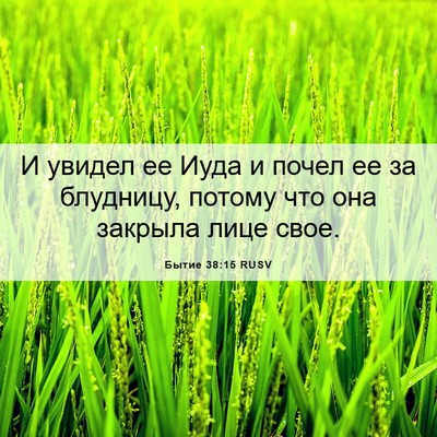 Picture 06 - Бытие 38:15 RUSV - И увидел ее Иуда и почел ее - Bible Verse Picture