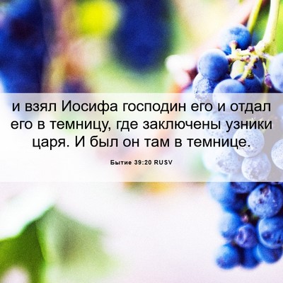Picture 06 - Бытие 39:20 RUSV - и взял Иосифа господин его - Bible Verse Picture