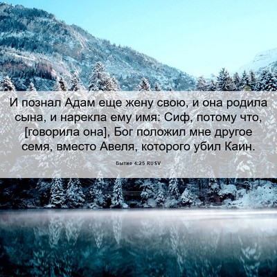 Picture 06 - Бытие 4:25 RUSV - И познал Адам еще жену - Bible Verse Picture