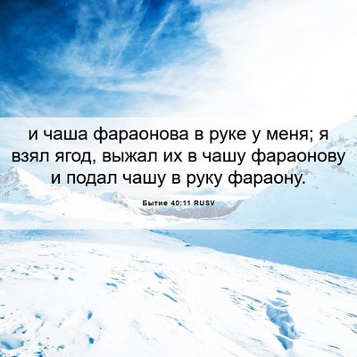 Picture 06 - Бытие 40:11 RUSV - и чаша фараонова в руке у - Bible Verse Picture