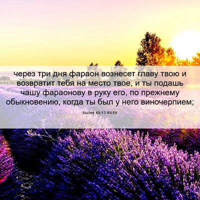 Picture 06 - Бытие 40:13 RUSV - через три дня фараон - Bible Verse Picture