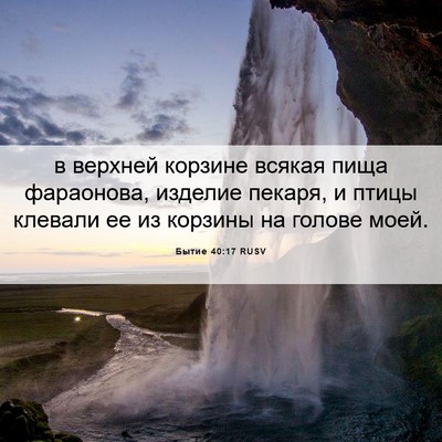 Picture 06 - Бытие 40:17 RUSV - в верхней корзине всякая - Bible Verse Picture