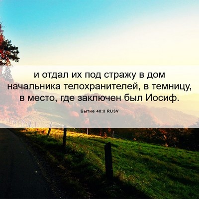 Picture 06 - Бытие 40:3 RUSV - и отдал их под стражу в дом - Bible Verse Picture