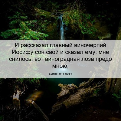 Picture 06 - Бытие 40:9 RUSV - И рассказал главный - Bible Verse Picture