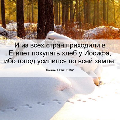 Picture 06 - Бытие 41:57 RUSV - И из всех стран приходили в - Bible Verse Picture
