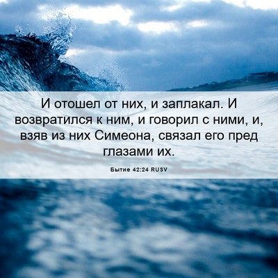 Picture 06 - Бытие 42:24 RUSV - И отошел от них, и заплакал. - Bible Verse Picture