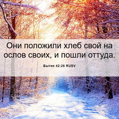 Picture 06 - Бытие 42:26 RUSV - Они положили хлеб свой на - Bible Verse Picture