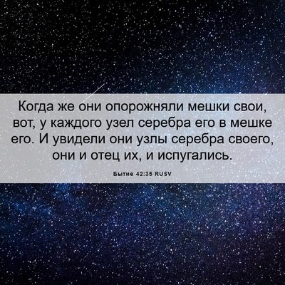 Picture 06 - Бытие 42:35 RUSV - Когда же они опорожняли - Bible Verse Picture