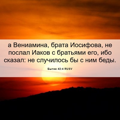Picture 06 - Бытие 42:4 RUSV - а Вениамина, брата - Bible Verse Picture