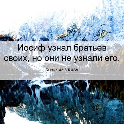 Picture 06 - Бытие 42:8 RUSV - Иосиф узнал братьев своих, - Bible Verse Picture