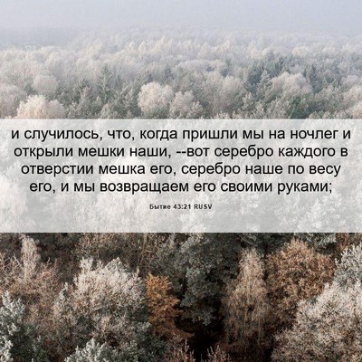 Picture 06 - Бытие 43:21 RUSV - и случилось, что, когда - Bible Verse Picture