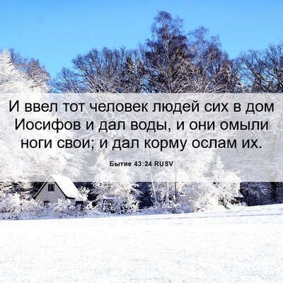 Picture 06 - Бытие 43:24 RUSV - И ввел тот человек людей - Bible Verse Picture