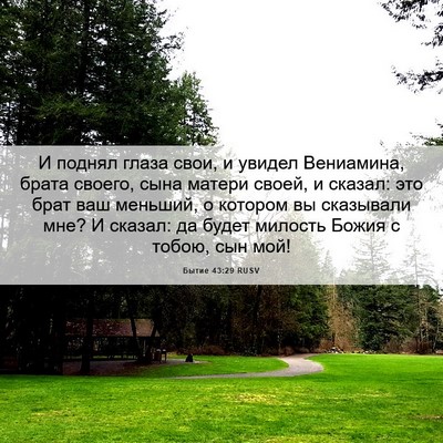 Picture 06 - Бытие 43:29 RUSV - И поднял глаза свои, и - Bible Verse Picture