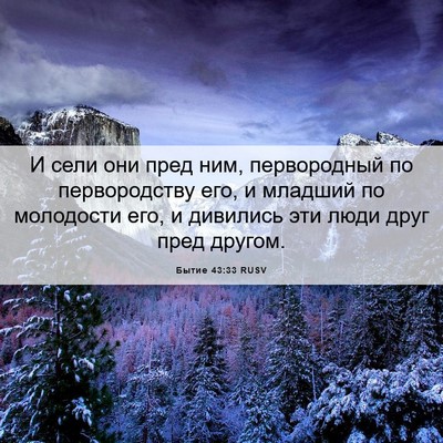 Picture 06 - Бытие 43:33 RUSV - И сели они пред ним, - Bible Verse Picture