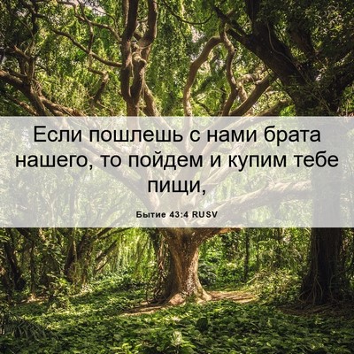 Picture 06 - Бытие 43:4 RUSV - Если пошлешь с нами брата - Bible Verse Picture