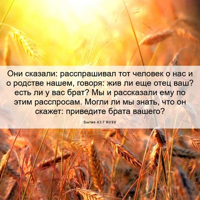 Picture 06 - Бытие 43:7 RUSV - Они сказали: расспрашивал - Bible Verse Picture