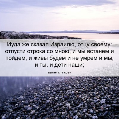 Picture 06 - Бытие 43:8 RUSV - Иуда же сказал Израилю, - Bible Verse Picture
