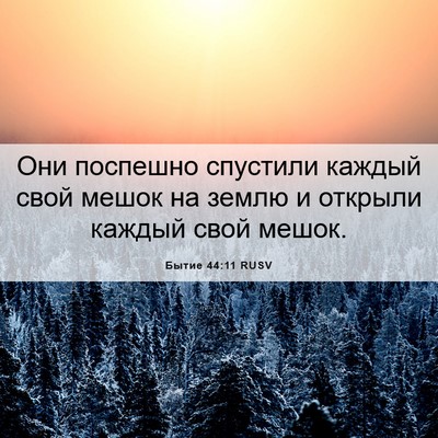 Picture 06 - Бытие 44:11 RUSV - Они поспешно спустили - Bible Verse Picture