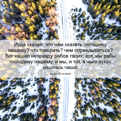 Picture 06 - Бытие 44:16 RUSV - Иуда сказал: что нам - Bible Verse Picture