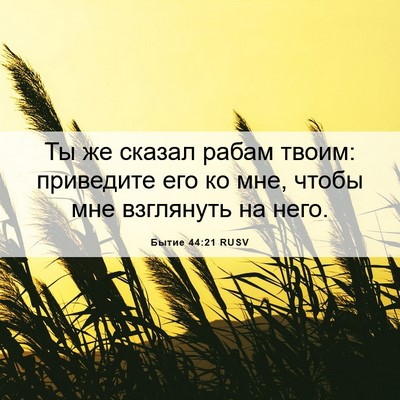 Picture 06 - Бытие 44:21 RUSV - Ты же сказал рабам твоим: - Bible Verse Picture
