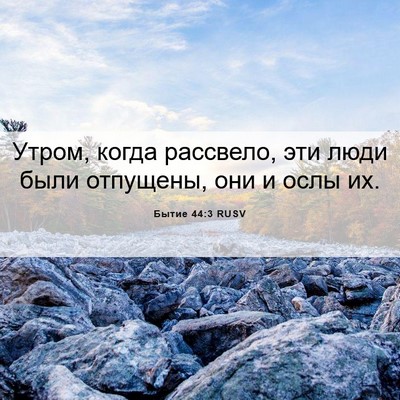 Picture 06 - Бытие 44:3 RUSV - Утром, когда рассвело, эти - Bible Verse Picture