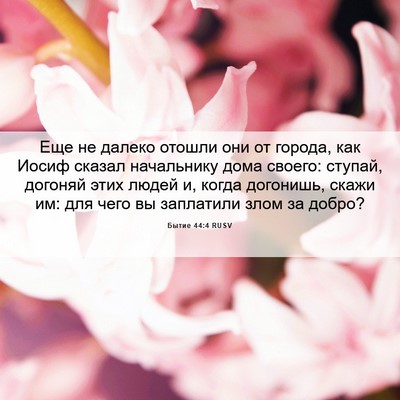 Picture 06 - Бытие 44:4 RUSV - Еще не далеко отошли они от - Bible Verse Picture
