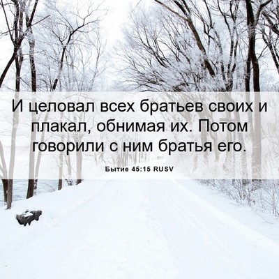 Picture 06 - Бытие 45:15 RUSV - И целовал всех братьев - Bible Verse Picture
