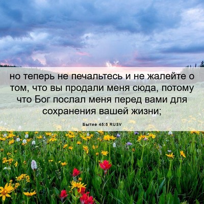 Picture 06 - Бытие 45:5 RUSV - но теперь не печальтесь и - Bible Verse Picture
