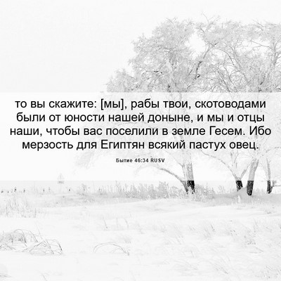 Picture 06 - Бытие 46:34 RUSV - то вы скажите: [мы], рабы - Bible Verse Picture