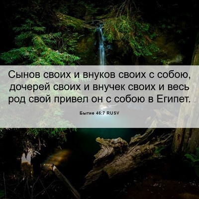Picture 06 - Бытие 46:7 RUSV - Сынов своих и внуков своих - Bible Verse Picture