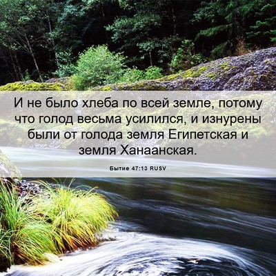 Picture 06 - Бытие 47:13 RUSV - И не было хлеба по всей - Bible Verse Picture