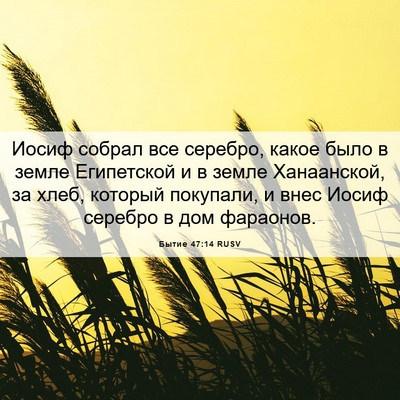 Picture 06 - Бытие 47:14 RUSV - Иосиф собрал все серебро, - Bible Verse Picture