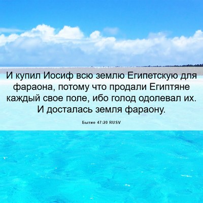 Picture 06 - Бытие 47:20 RUSV - И купил Иосиф всю землю - Bible Verse Picture