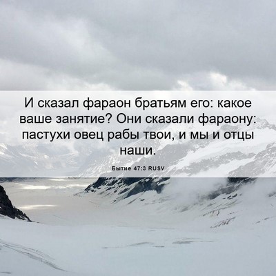 Picture 06 - Бытие 47:3 RUSV - И сказал фараон братьям - Bible Verse Picture