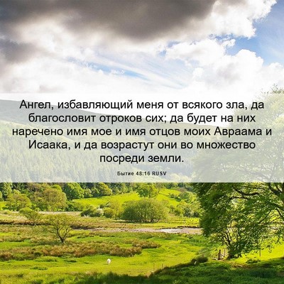 Picture 06 - Бытие 48:16 RUSV - Ангел, избавляющий меня от - Bible Verse Picture